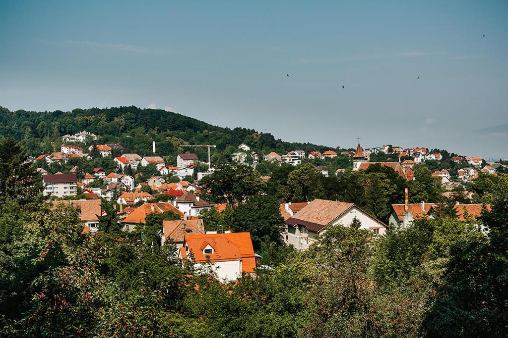 Old Citadel Hill Apartment Braşov Eksteriør billede